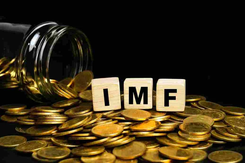 IMF's "Uncertainty": What We Know and Why It's a Call to Action