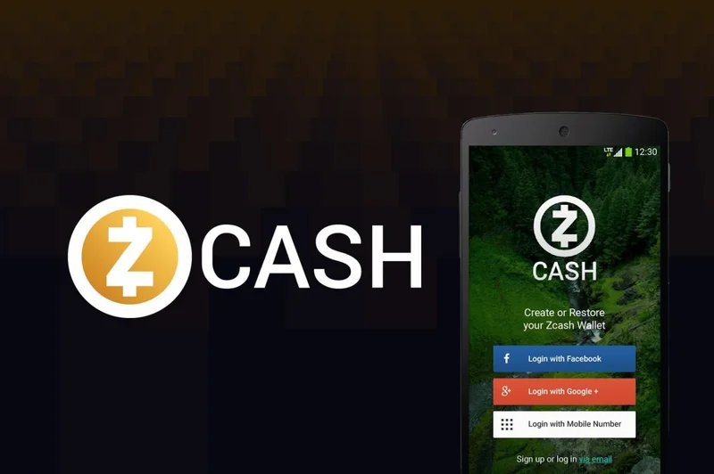 Zcash's Market Cap Surge: What's Behind the Privacy Coin Power Shift?